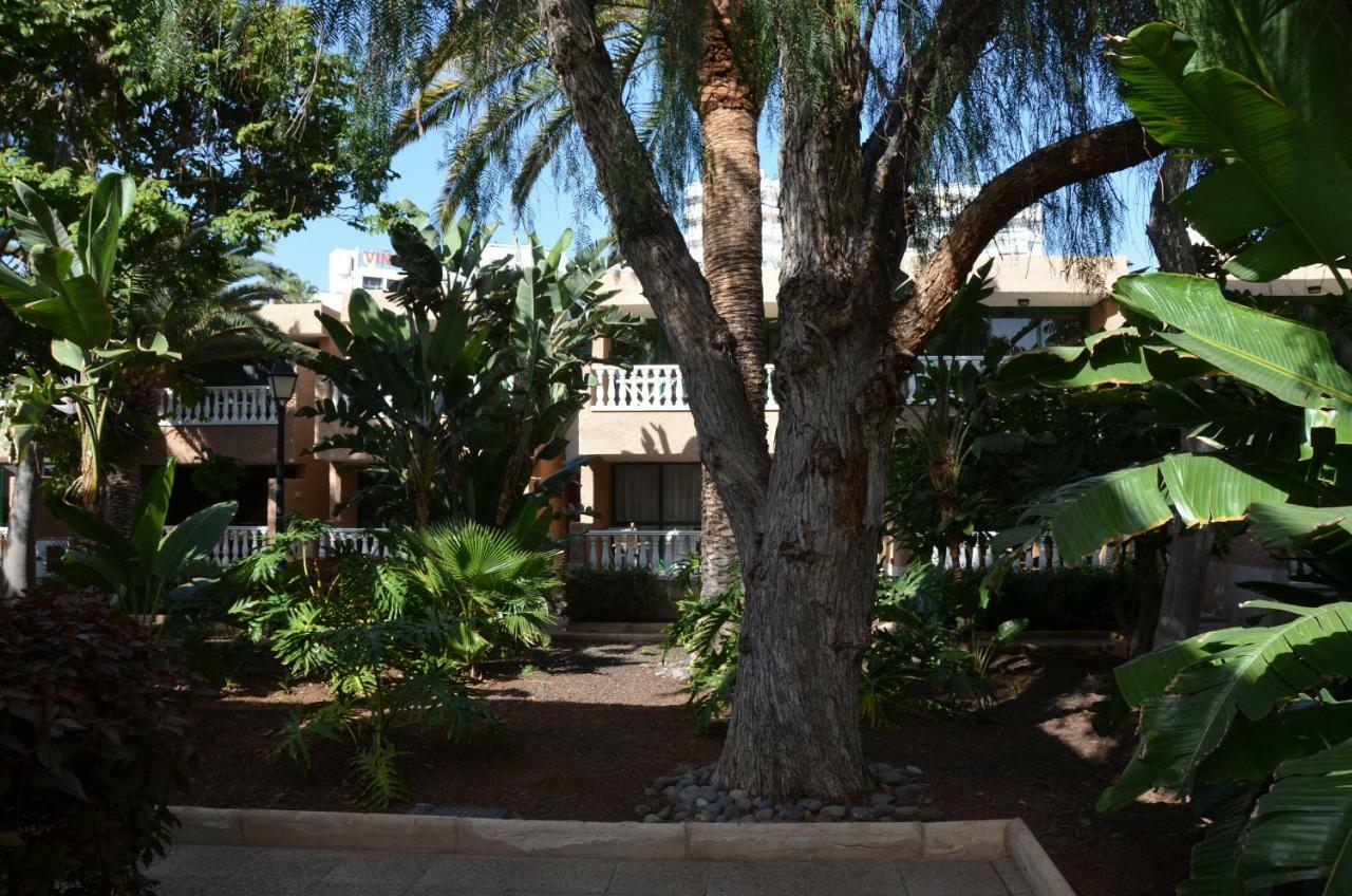 Parque De Las Americas Apartment Costa Adeje  Exterior photo